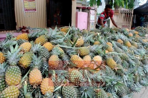 Pineapples sales go high in this scorching summer Pineapples sales go high in this scorching summer